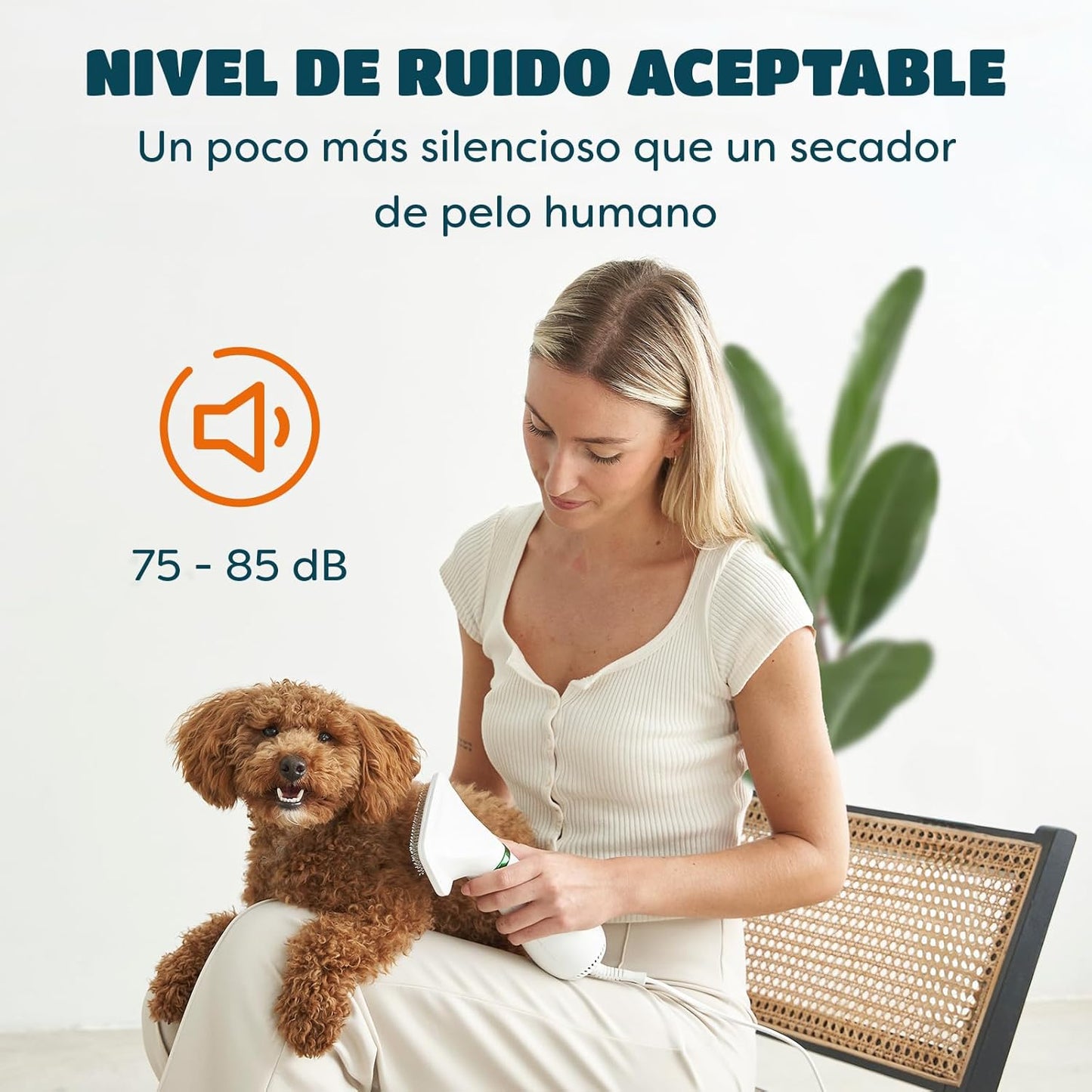 Cepillo secador 2 en 1 para mascotas