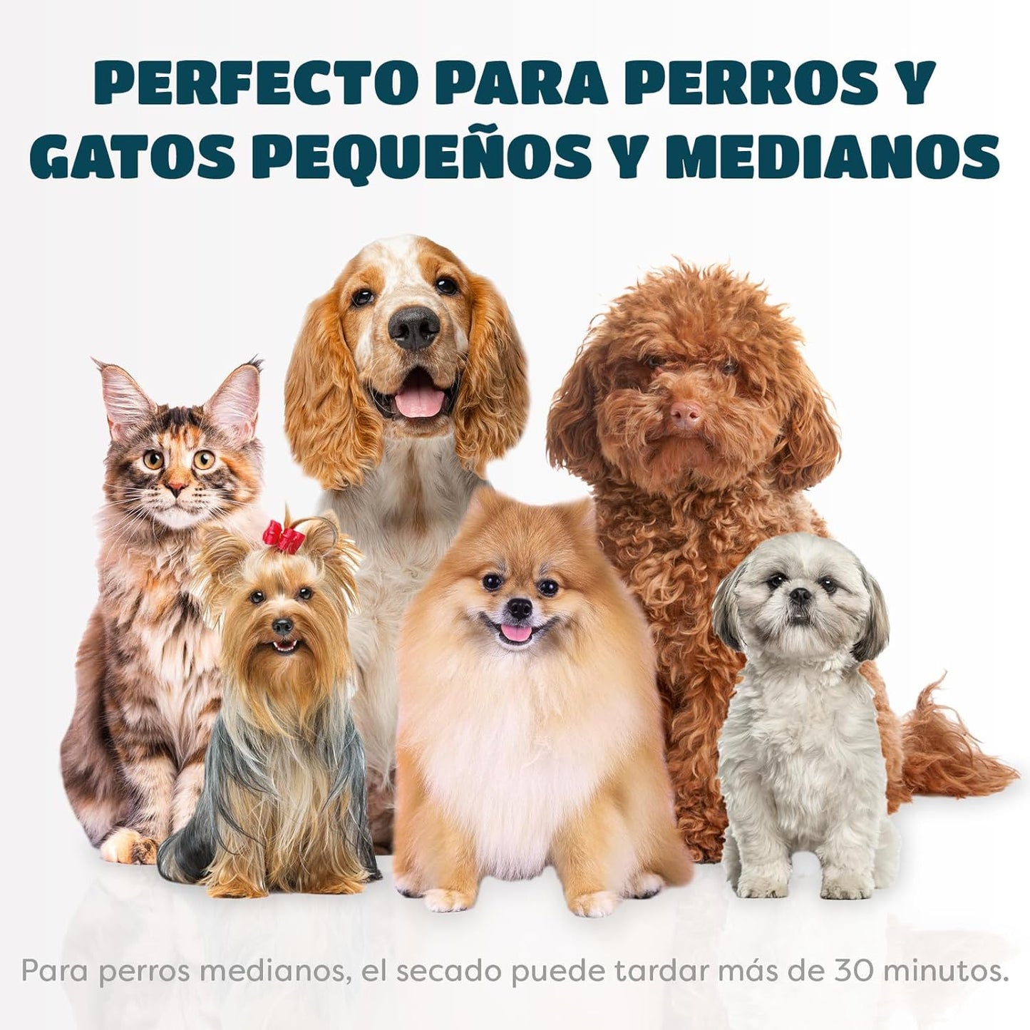 Cepillo secador 2 en 1 para mascotas